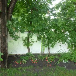 Brighten up with Fence Panels