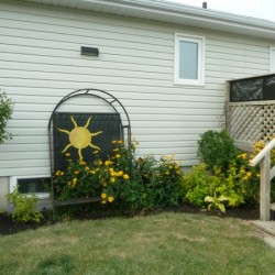 Black Yard Accessories 